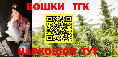 сатива Новозыбков