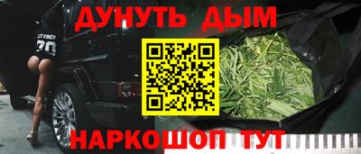 сатива Новозыбков