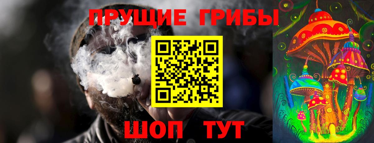 Сорочинск  Галлюциногенные грибы GOLDEN TEACHER  Вход с VPN 