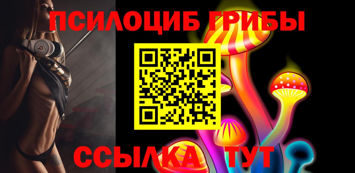 Псилоцибиновые грибы Psilocybe Сорочинск